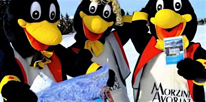 Morzine penguins Morzine penguins