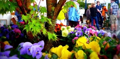 Talloires attractions transfers